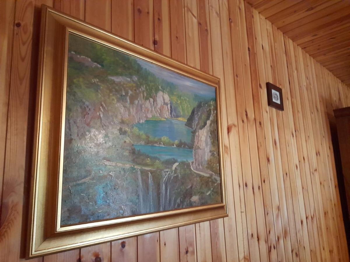 House Poljana Villa Plitvička Jezera Eksteriør billede